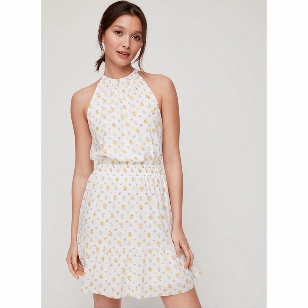 Wilfred Aritzia Effet Floral Mini Dress
